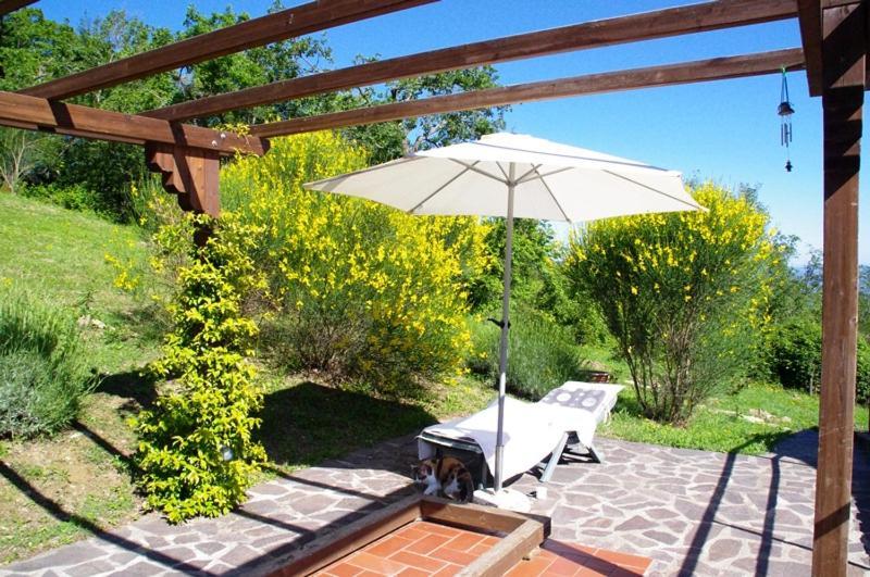B&B Harem Arcidosso Buitenkant foto
