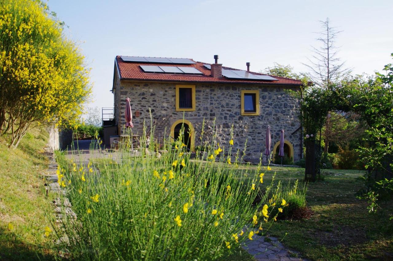 B&B Harem Arcidosso Buitenkant foto