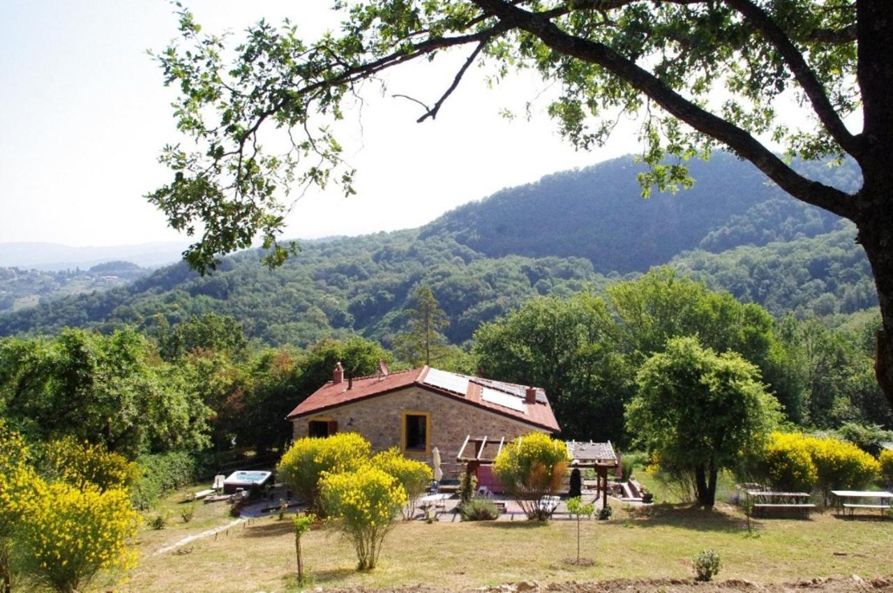 B&B Harem Arcidosso Buitenkant foto