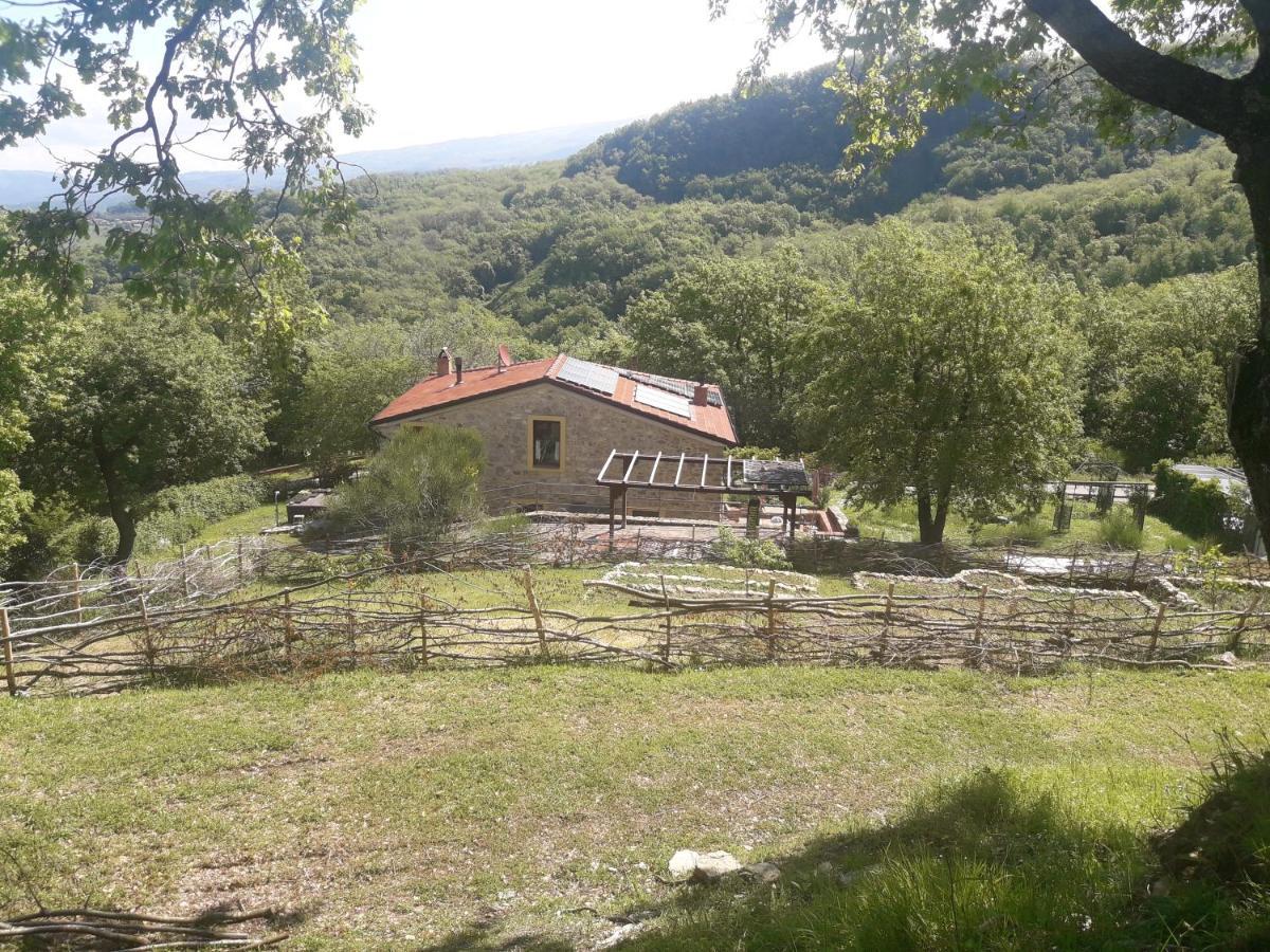 B&B Harem Arcidosso Buitenkant foto