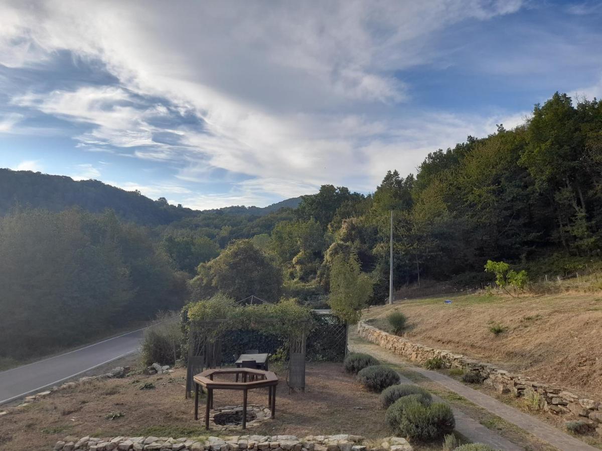 B&B Harem Arcidosso Buitenkant foto